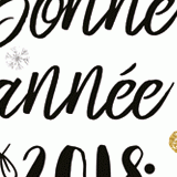 Bonne année