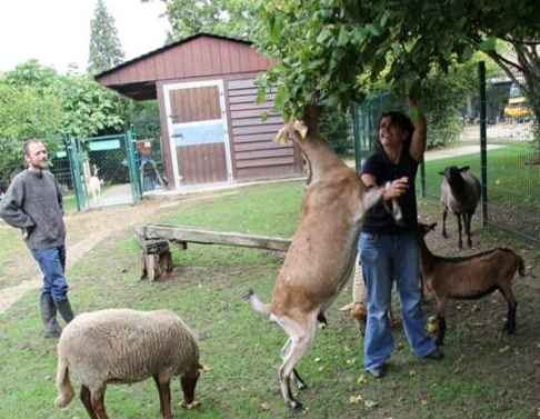 Relais Nature de Bièvres