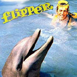 Flipper le dauphin
