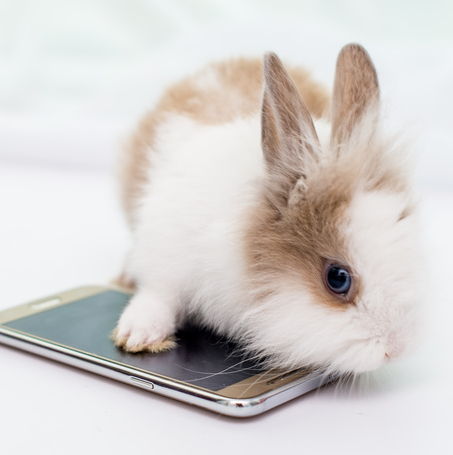 Top des applis enfants de Pâques