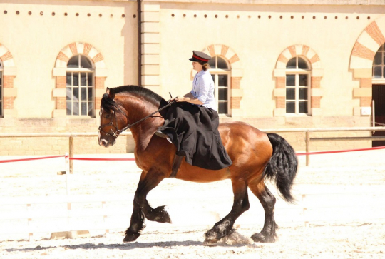 Équivallée - Haras national de Cluny