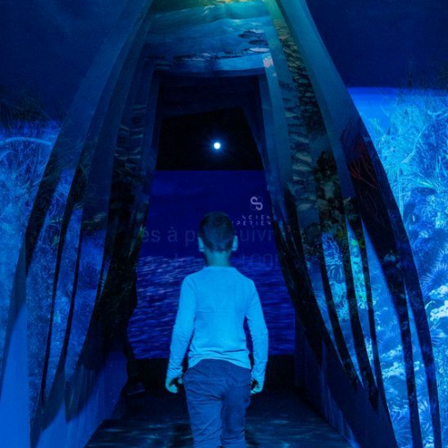 Science Expériences : volcan