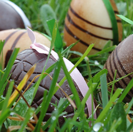 Chasse aux oeufs de Pâques 2014 à Wattrelos