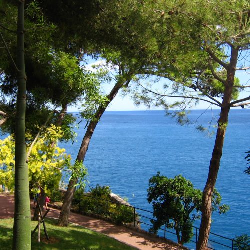 Jardin Exotique de Monaco