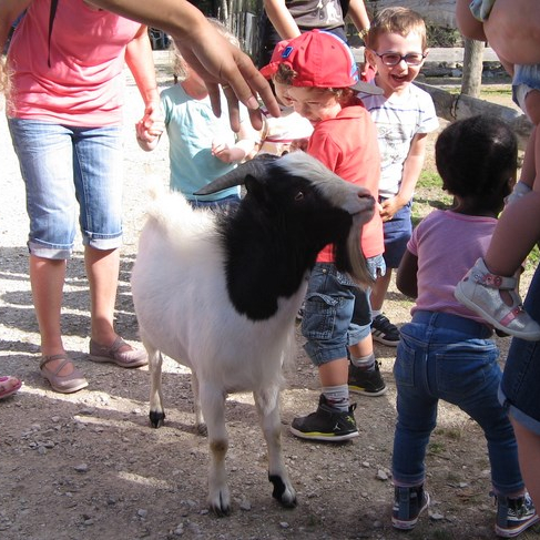 Anniversaire à la Ferme du Paradis