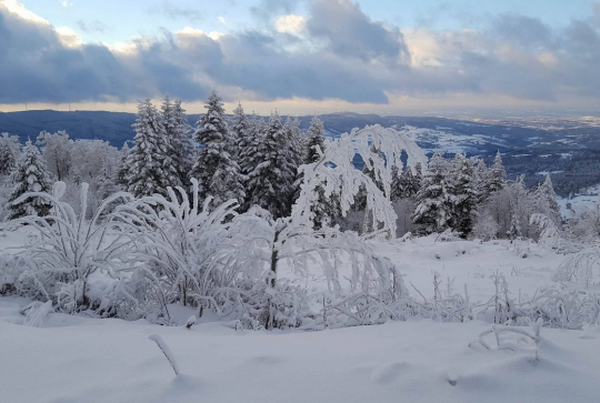 la Loge des Gardes : Paysage enneigé
