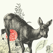 Expo "Liaisons vitales"©