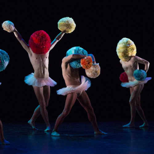 Tutu - Cie Chicos Mambo