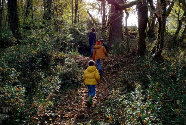 Terre & Océan : balade en forêt