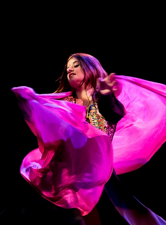 "Chansons douces pour bêtes féroces" de Maria Robin