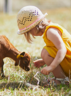 De ferme en ferme