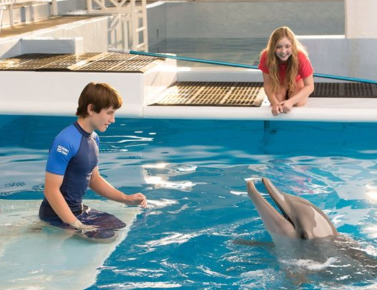 L'incroyable histoire de Winter le dauphin 2