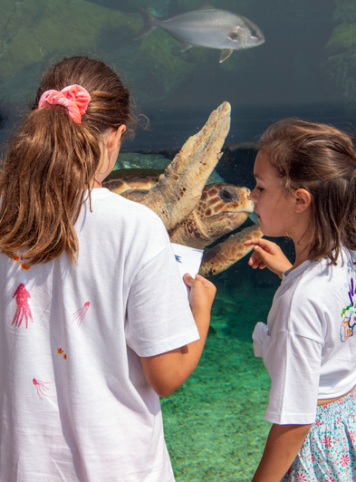 Musée océanographique de Monaco : Deux petites filles observent une tortue de mer