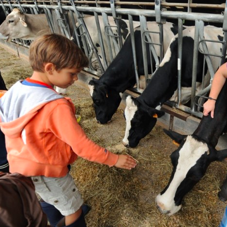 Ferme de La Péquinière