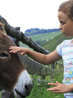 Ecotourisme en Alsace