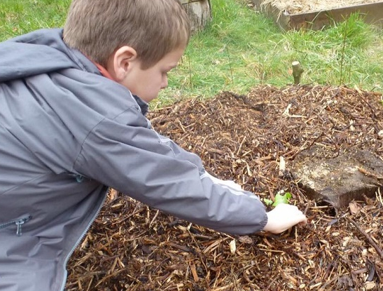 Ferme du Bel Air - Enfant jardinage