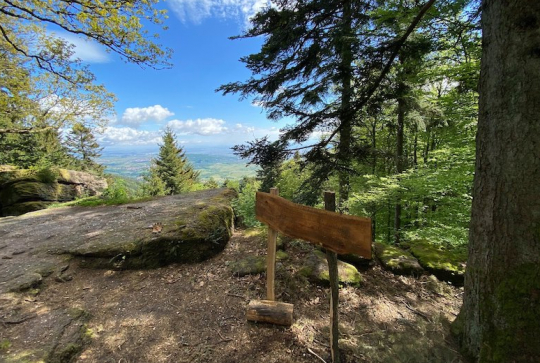Mont Sainte-Odile : randonnée en famille
