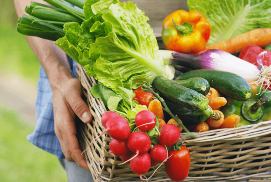 La Ferme de Guillaume