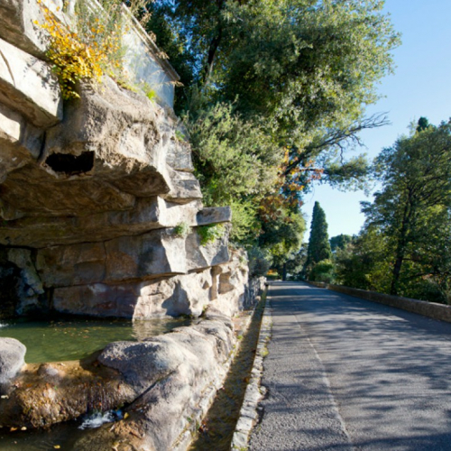 Parc la de Colline du Château Nice