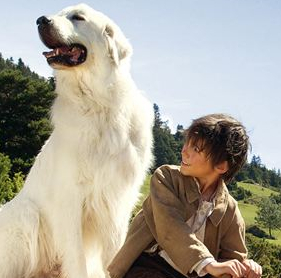 Belle et Sébastien 2 : l'Aventure continue