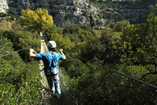 Canyon Forest : Un pont suspendu