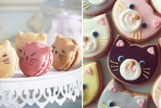 Goûter pâtisseries chatons
