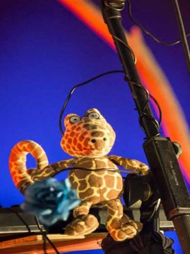 L'île du droit à la caresse - Comme un poisson dans l'art