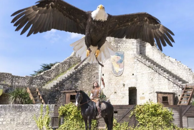 La Cité médiévale de Provins - Les Aigles des Remparts