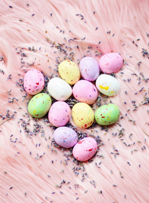 Parc Carol de Roumanie - Chasse aux œufs 2019