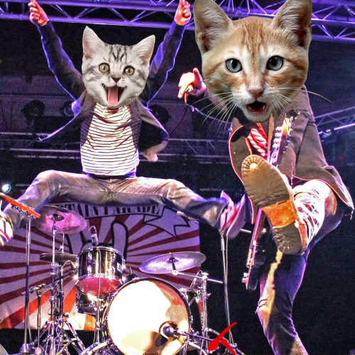 Captain Parade - Punk à chats