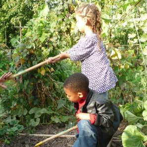 Moissonnez votre champ de blé