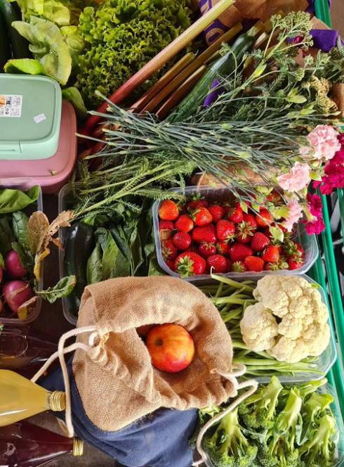 Cueillette de Férin : Fruits et légumes récoltés