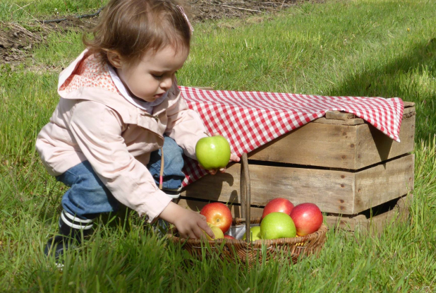 Fermes du Placier - Ferme de la Chebuette