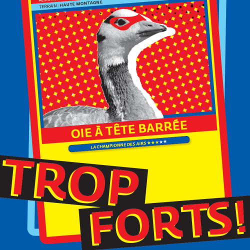 Affiche exposition "Trop Forts !"