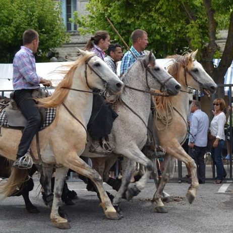 Fête de l'été de Lunel-Viel