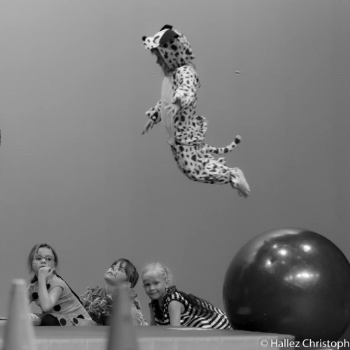 Compagnie Antarès cirque