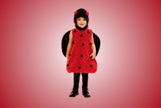 Déguisement coccinelle