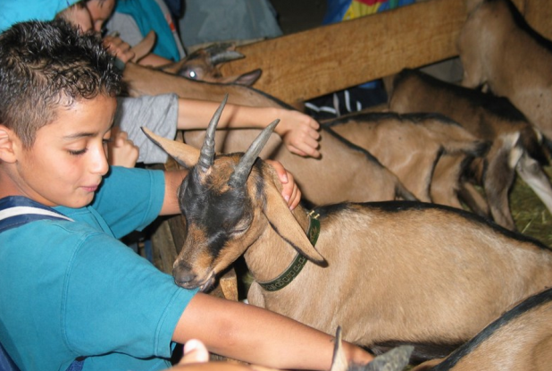 Chèvrerie des Monts-Dores