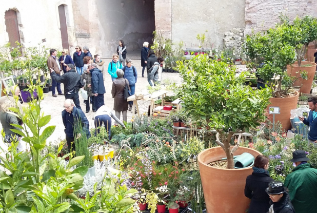 Un jardin ouvert à tous