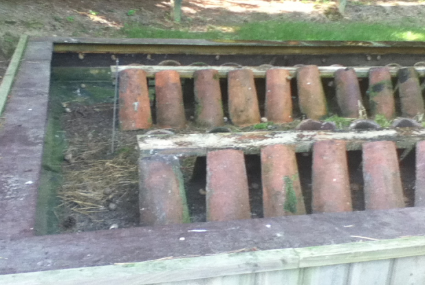 animation sur les escargots