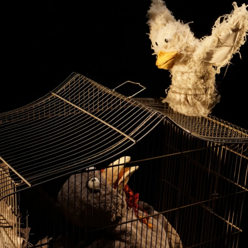 Y aura-t-il de la dinde à Noël ? - Cie Les Imaginoires