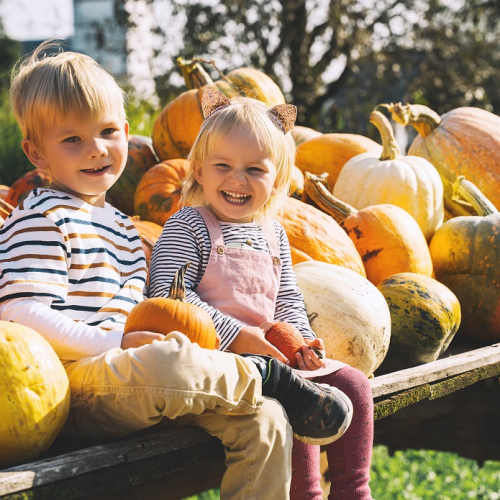 Vacances de la Toussaint 2024 au Musée Mandet : Deux enfants au milieu des citrouilles
