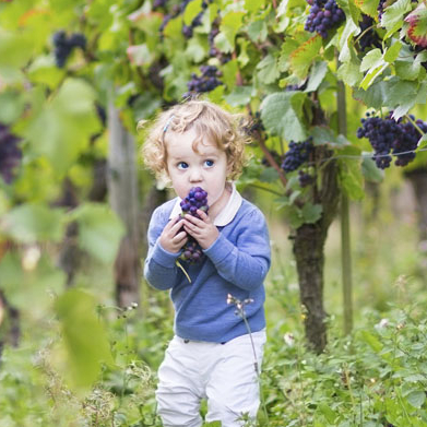 Vign'en Ville - Animations enfants