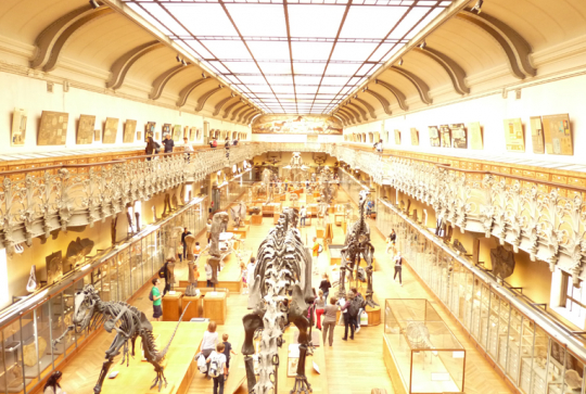 age de glace CK event