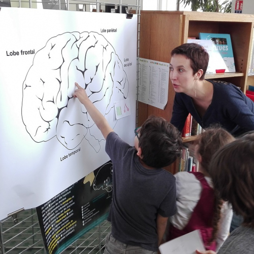 Semaine du cerveau 2019 - Paris