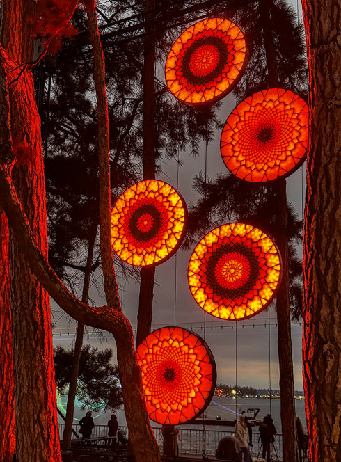 Héliotrope - Quartier Grolée : Fête des lumières 2025