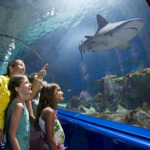 Anniversaire Marineland