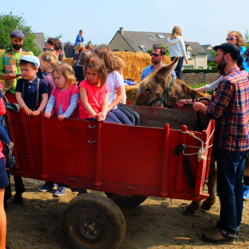 La Fête du lait bio en Bretagne