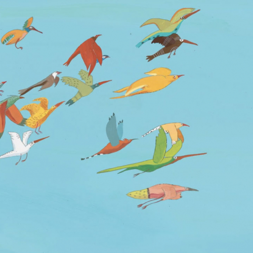 La Cabane aux oiseaux : vol d'oiseaux