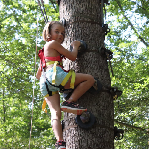 Arbres et Sens Aventures